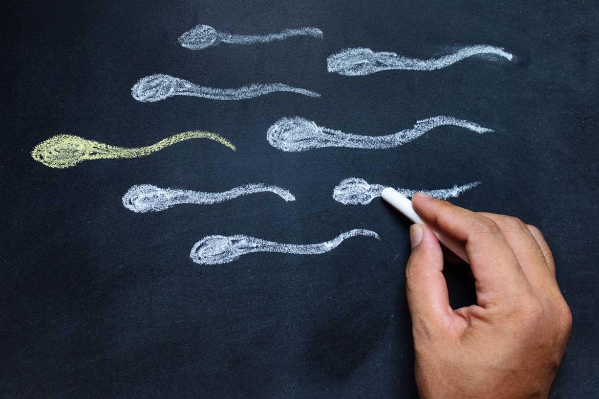 Male infertility causes